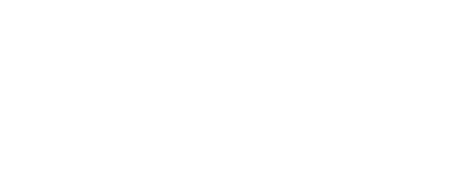 Aveo - Logo - White